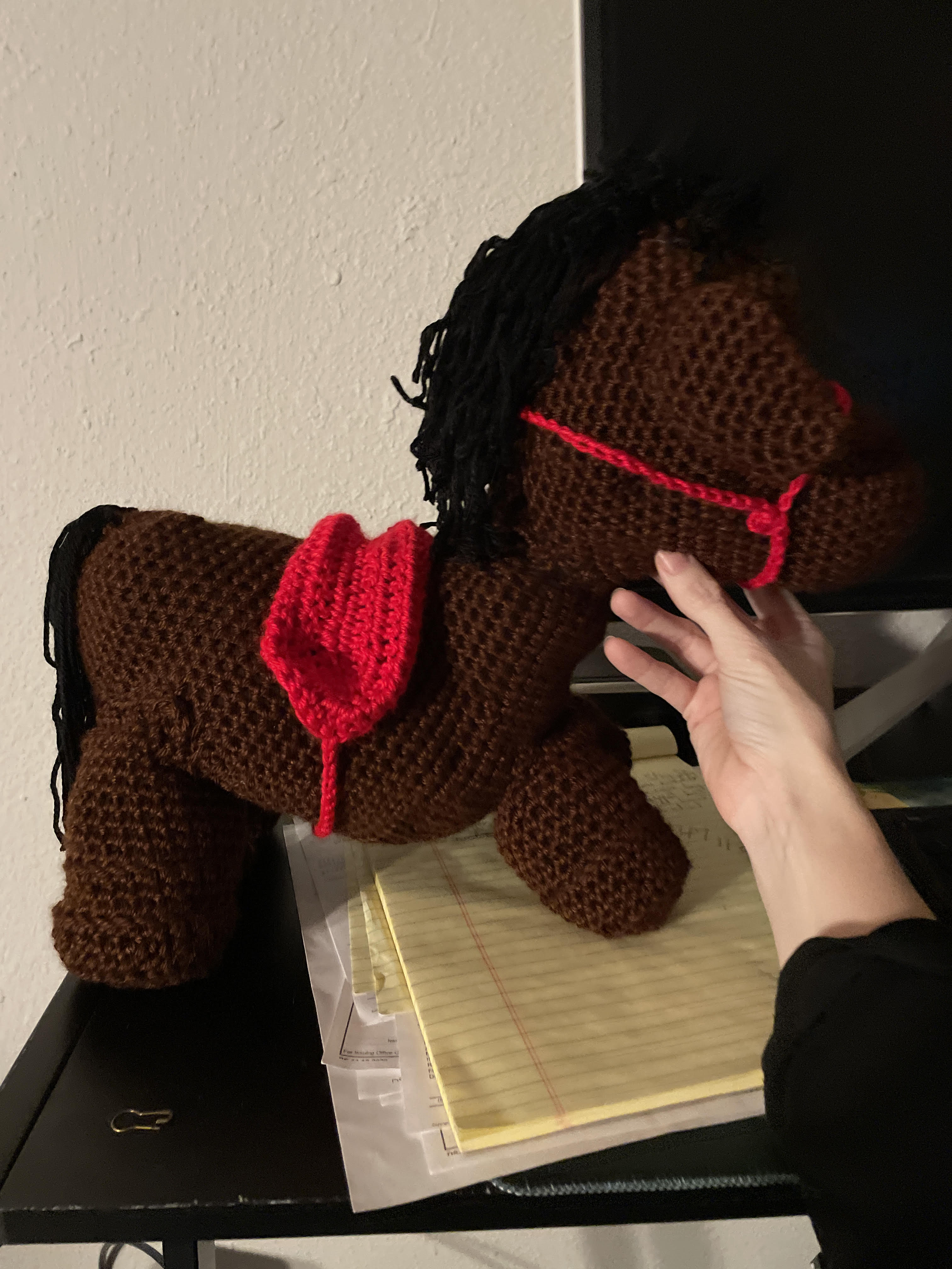 A picture of the 1st horse I made